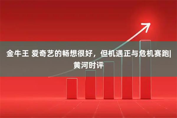 金牛王 爱奇艺的畅想很好，但机遇正与危机赛跑|黄河时评