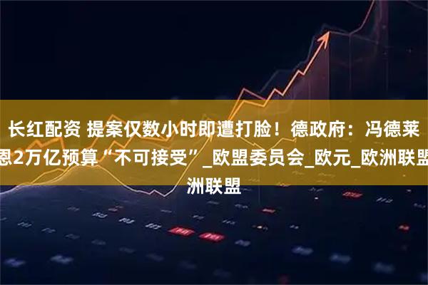 长红配资 提案仅数小时即遭打脸！德政府：冯德莱恩2万亿预算“不可接受”_欧盟委员会_欧元_欧洲联盟
